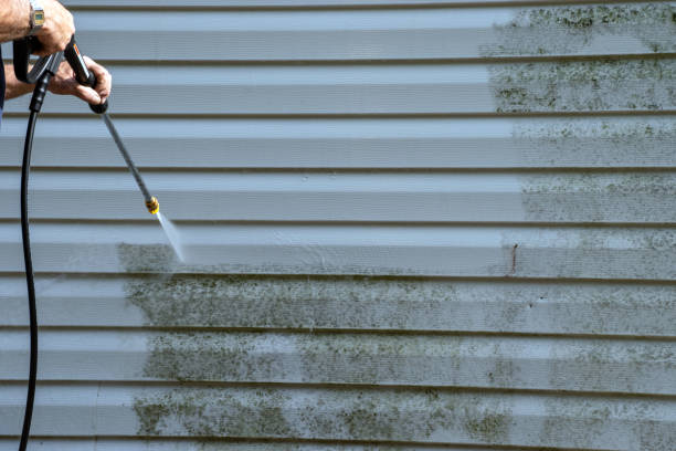 Best Composite Siding  in Winchester, OH